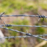 Barbed,Wire,,Also,Known,As,Barb,Wire,,A,Type,Of