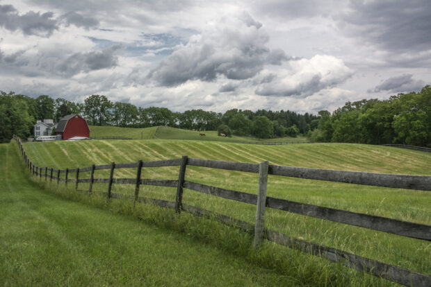 Fencing Solutions for Protecting Your Carlsbad, NM Farm Against Wildlife