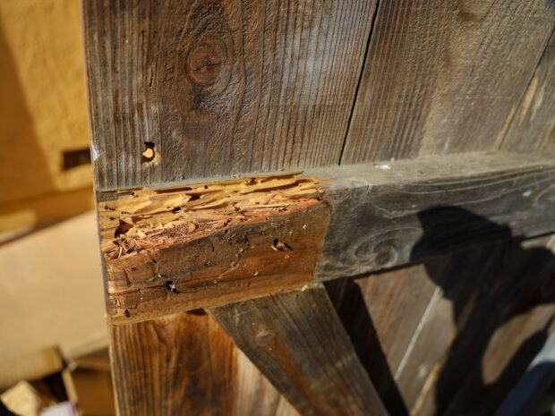 Top 5 Signs It’s Time for Fence Repair in Carlsbad, NM
