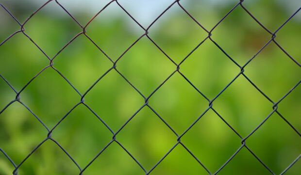 Barbed Wire vs. Net Wire Fencing: Which is Better for Your New Mexico Ranch?
