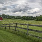 Landscape,Picture,Of,A,Farm,Pasture,Enclosed,By,Rustic,Fencing