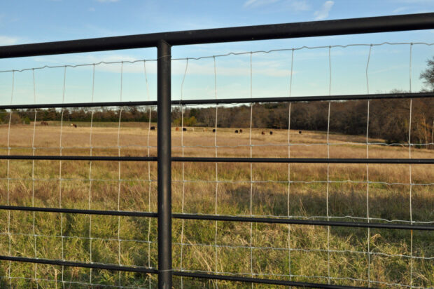 Why Professional Gate Installation Matters for Your Ranch or Property